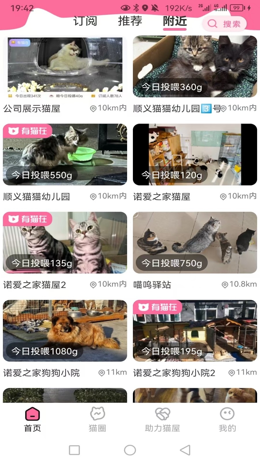 途猫图4