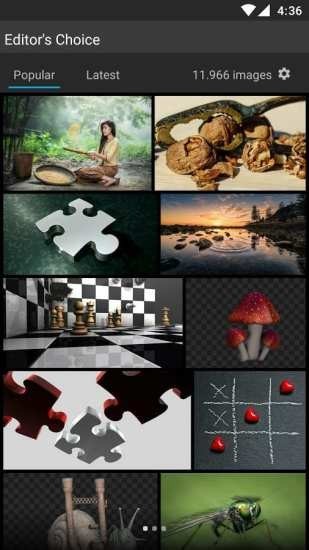 pixabay素材最新免费版图1