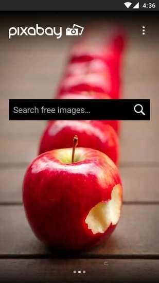 pixabay素材最新免费版图2