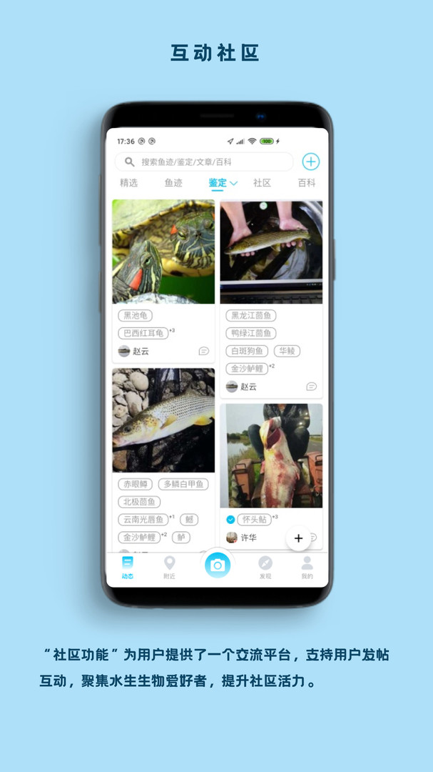 看鱼安卓版图1