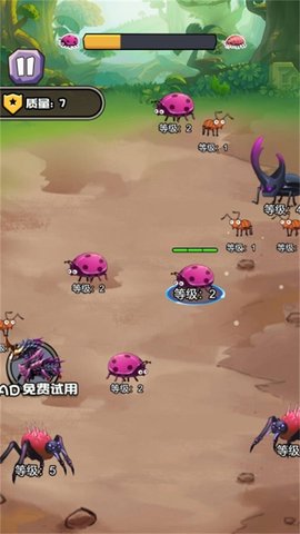 昆虫进化世界(2)