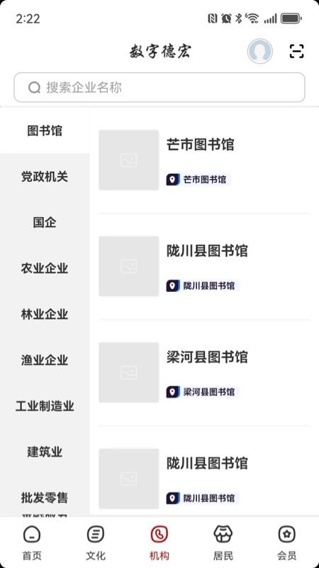 数字德宏图2