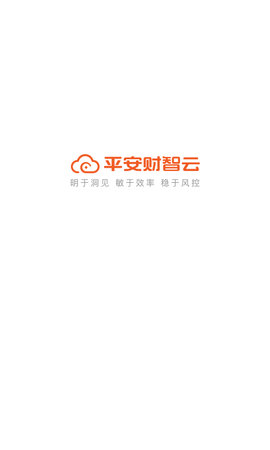 平安财智云(4)
