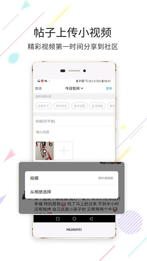白话猫图1