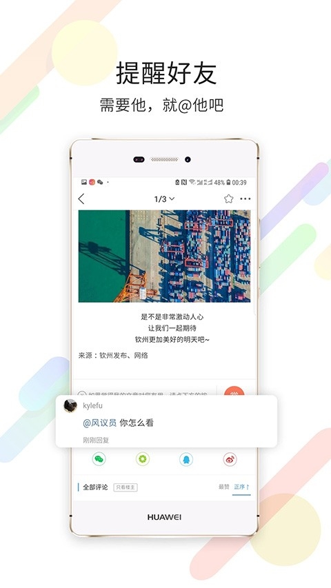 白话猫图4
