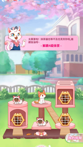 萌猫成长记(3)
