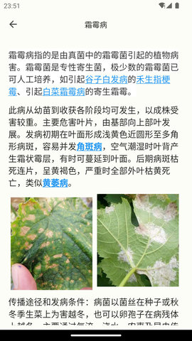 鱼菜记(4)