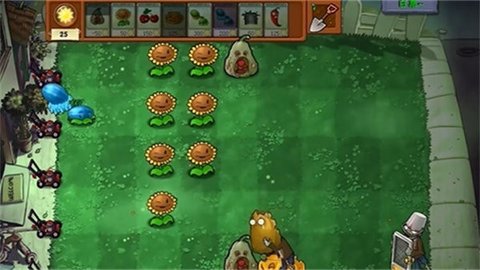植物大战僵尸核污染版3