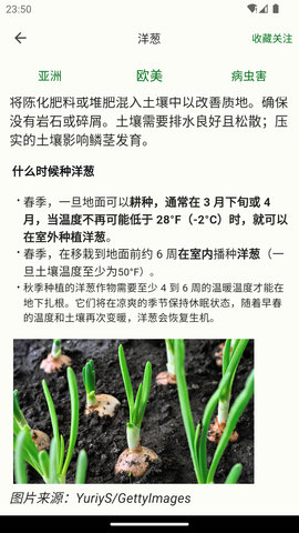 鱼菜记(3)