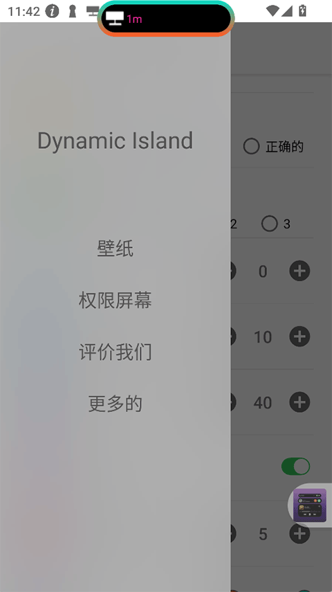 Dynamic Island(1)