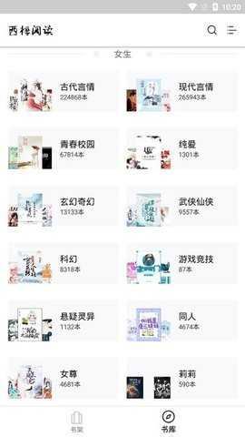 西梅小说