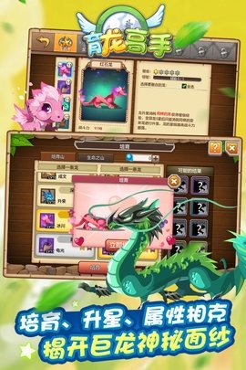 育龙高手(5)