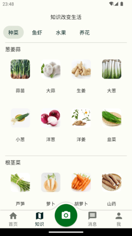 鱼菜记(2)