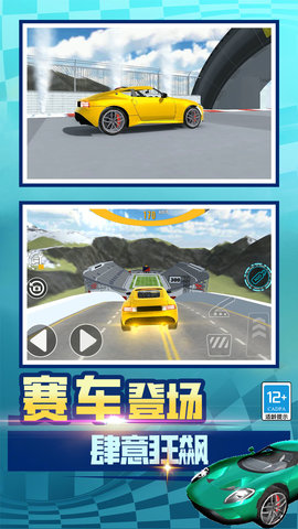狂野汽车(3)