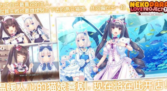 猫娘乐园