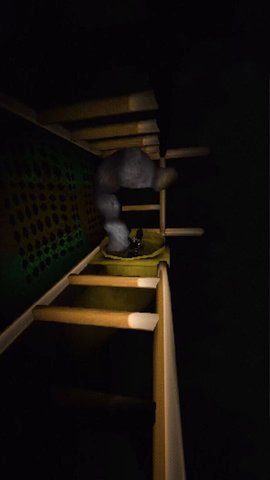 恐怖玩滑梯游戏安装包图2