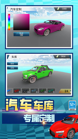 狂野汽车(5)