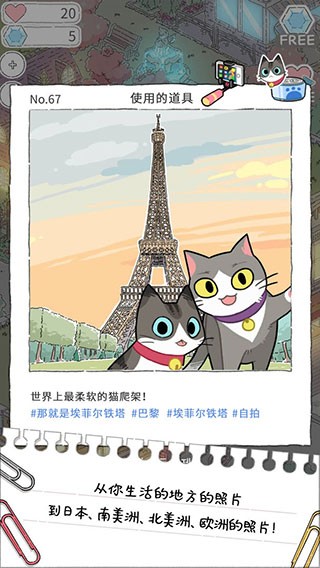 猫友圈猫咪的旅行最新版截图4