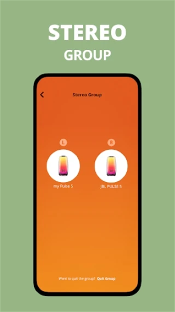 JBL Portable图5