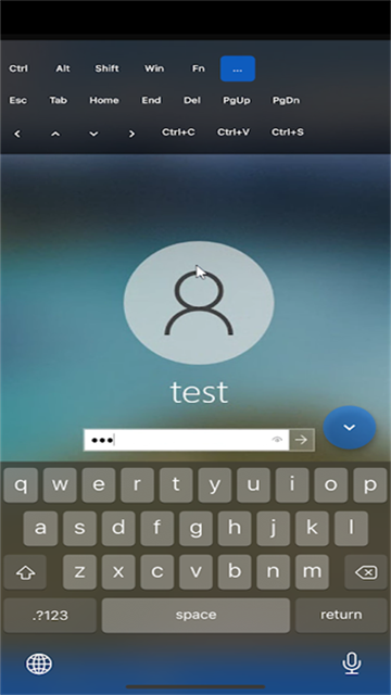 RustDesk(2)