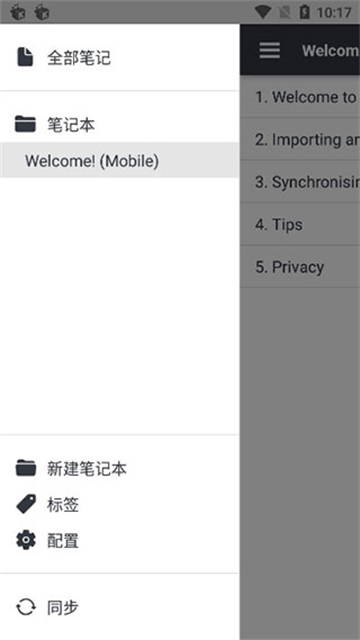 joplin图2