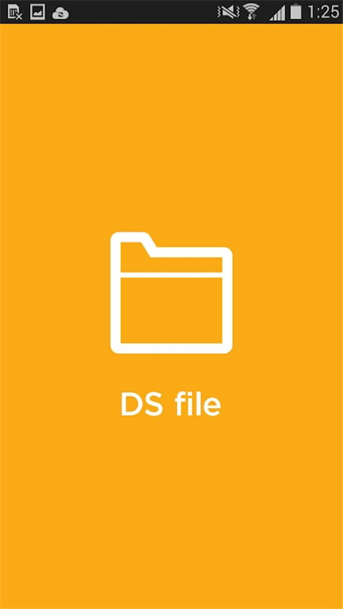 DS file(4)