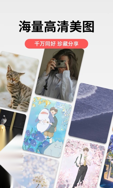堆糖(4)