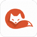 cupfox