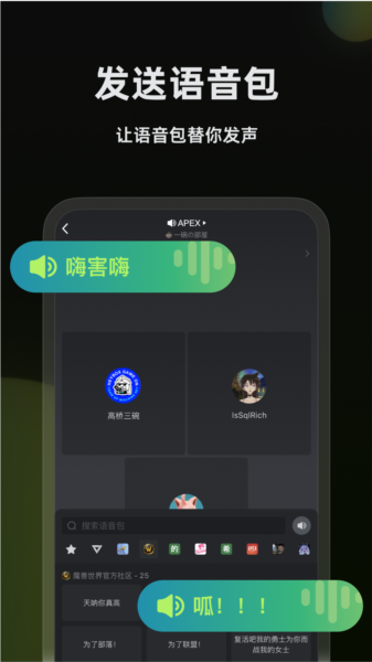 黑盒语音(1)
