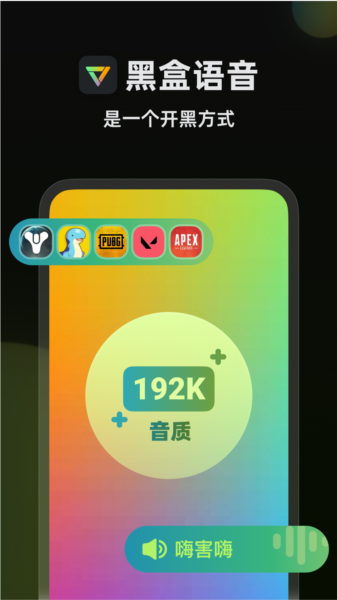 黑盒语音(2)