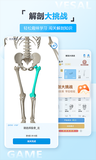 维萨里3D解剖(1)