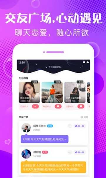 寻欢手机版