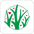 红杏林原版 V1.25.6