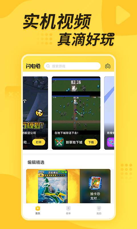 闪电龟(2)