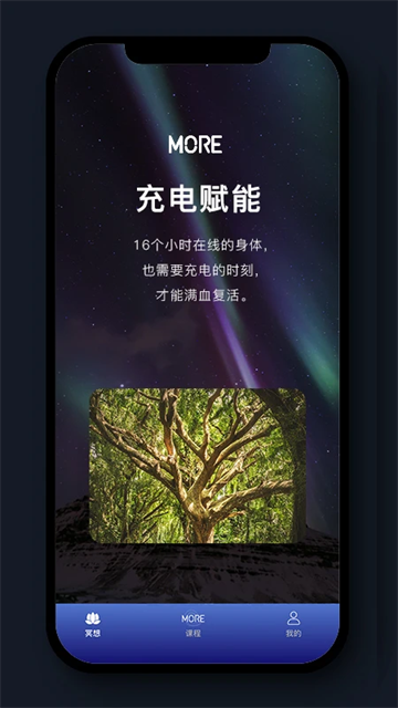 墨尔冥想(5)