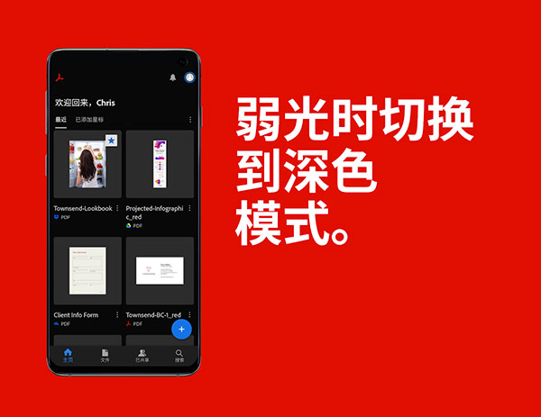 Adobe Acrobat(4)