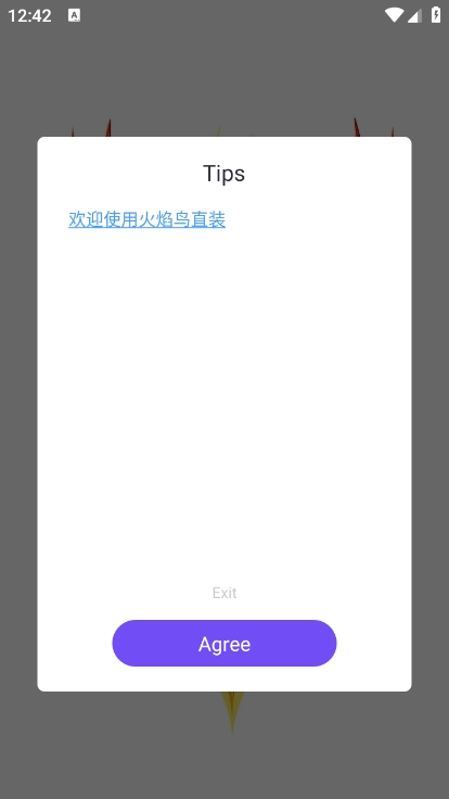 火焰鸟直装版(1)