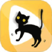 波斯猫影视2024最新版