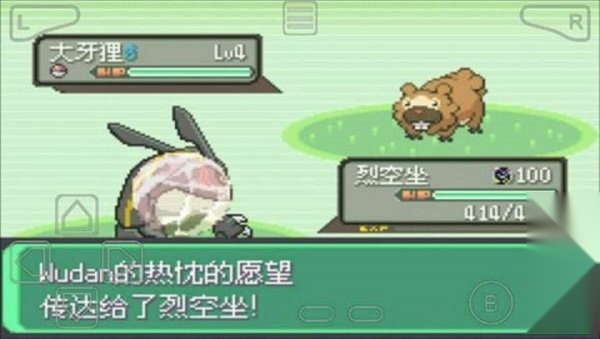 口袋妖怪绿宝石802游戏安装包截图3