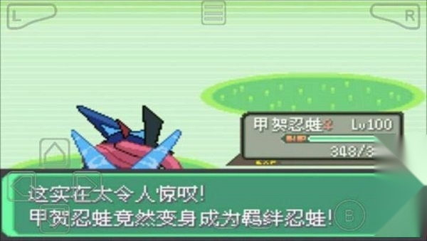 口袋妖怪绿宝石802游戏安装包截图4