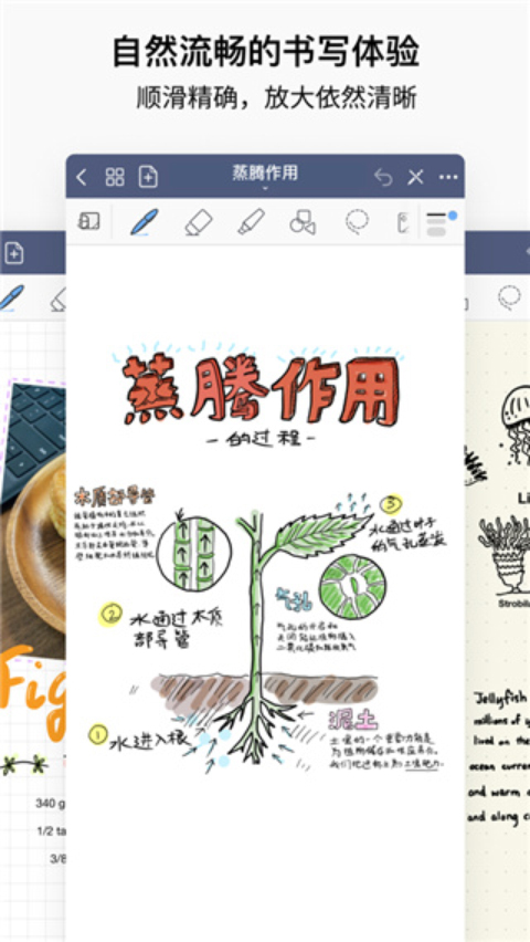 goodnotes平板免费版图3