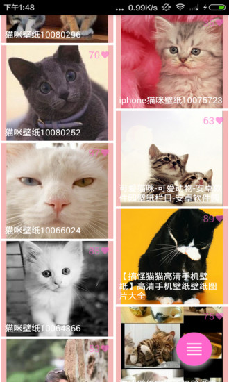 CatDog图4
