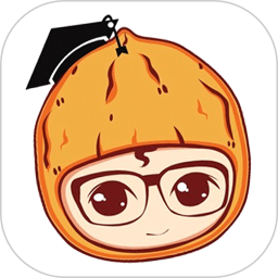 核桃ai 