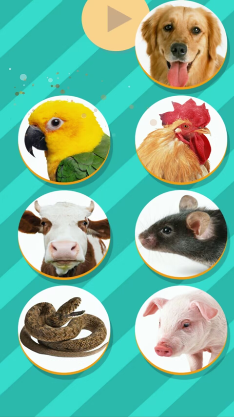 pettranslator动物语言翻译器图2