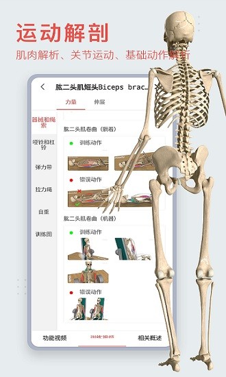 3dbody解剖免费版图1
