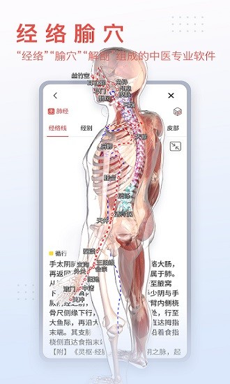 3dbody解剖免费版图2