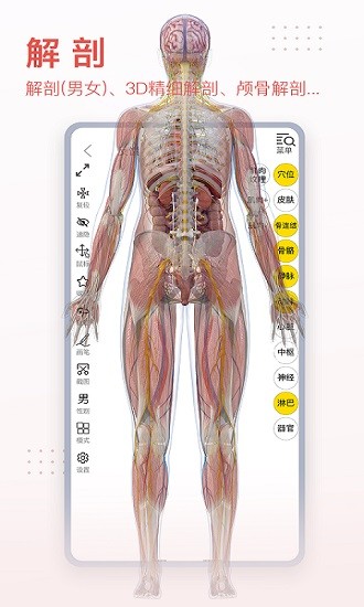 3dbody解剖免费版图3