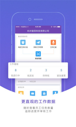 蜂鸟汇报图4