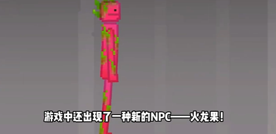甜瓜游乐场(1)
