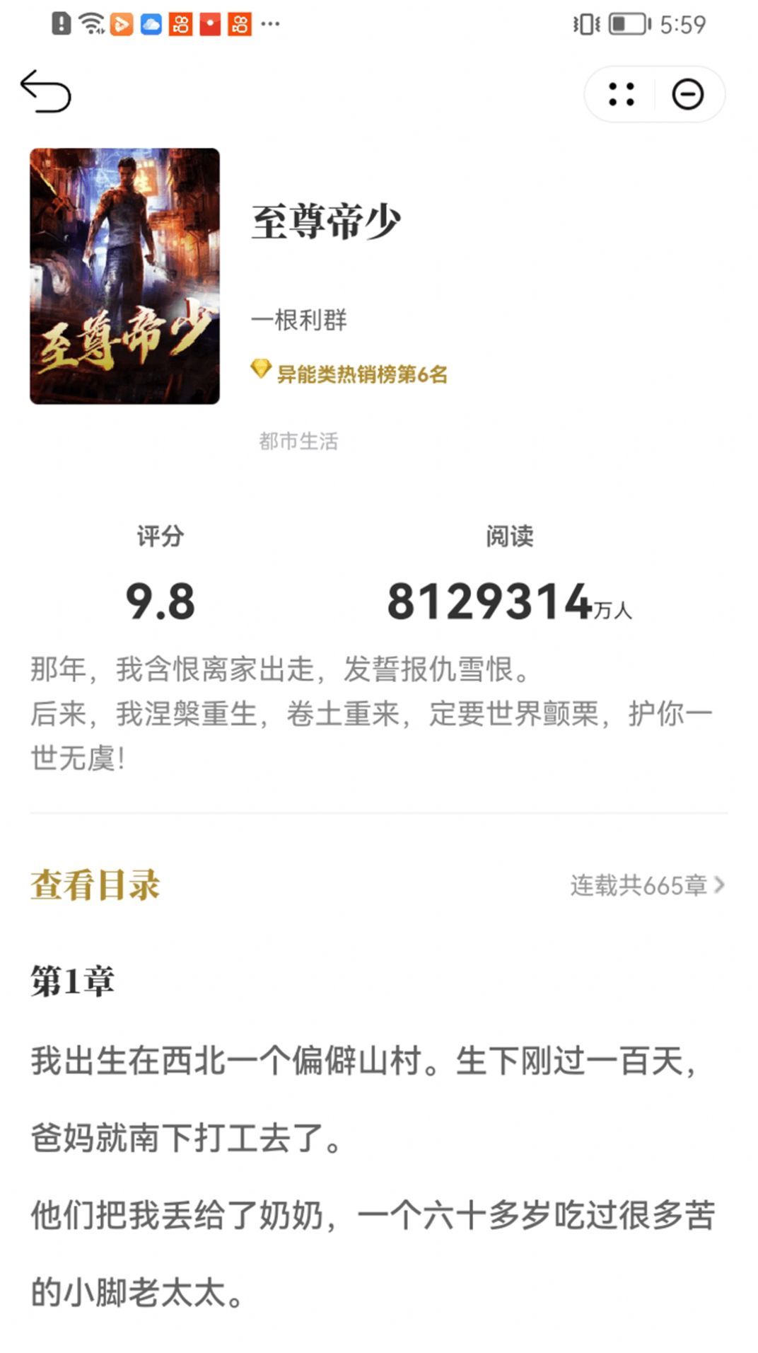 顽石小说图1